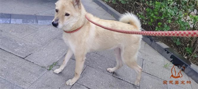 2023.6.21号旗舰店照片！