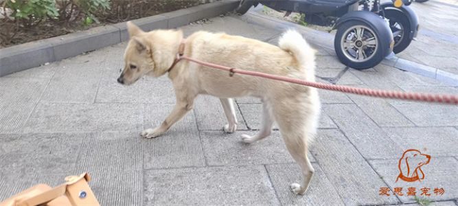 2023.6.22号旗舰店照片！