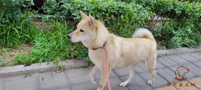 2023.6.23号旗舰店照片！