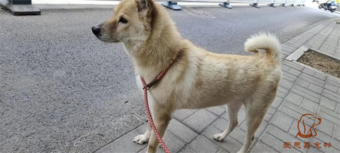 2023.6.24号旗舰店照片！