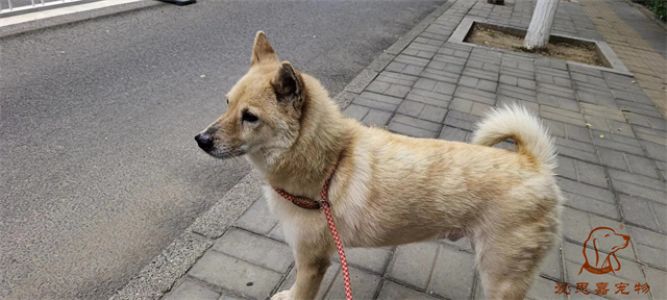 2023.6.26号旗舰店照片！