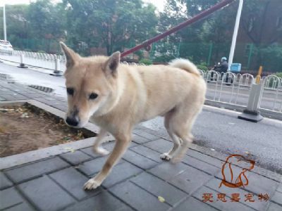 2023.7.4号旗舰店照片！