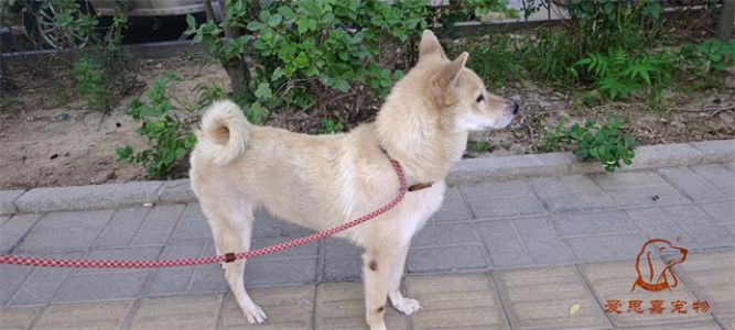 2023.7.6号旗舰店照片！