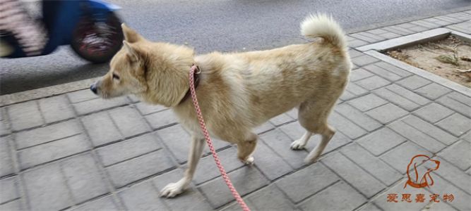 2023.7.7号旗舰店照片！