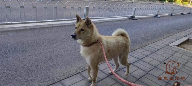 2023.7.8号旗舰店照片！