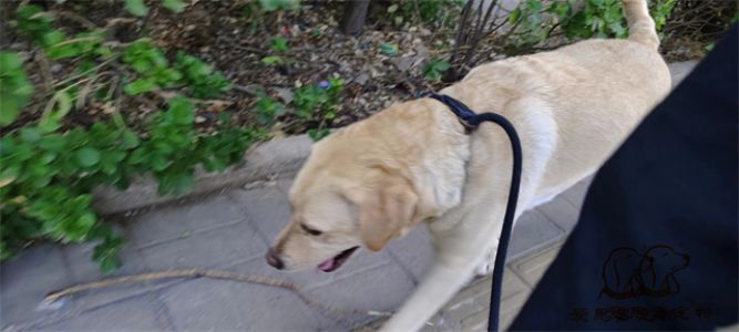 2023.7.9号旗舰店照片！