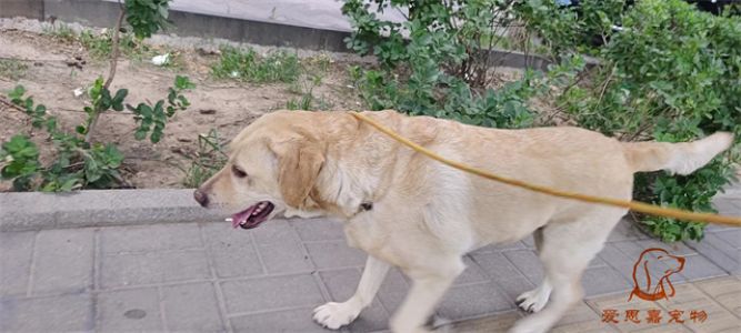 2023.7.10号旗舰店照片！