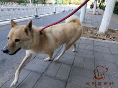 2023.7.11号旗舰店照片！