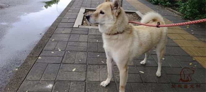 2023.7.12号旗舰店照片！