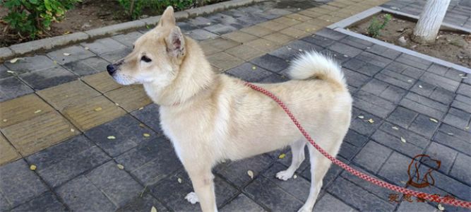 2023.7.14号旗舰店照片！