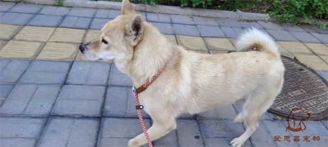 2023.7.15号旗舰店照片！