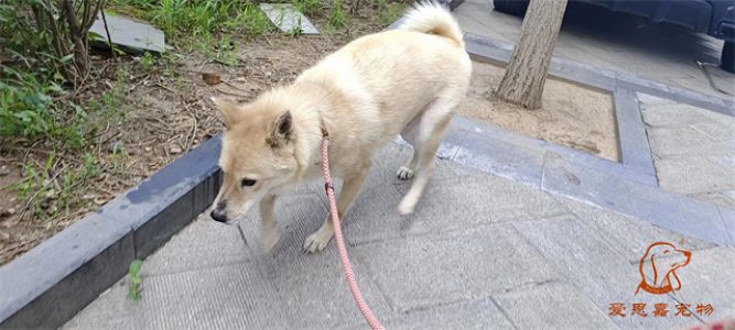 2023.7.16号旗舰店照片！