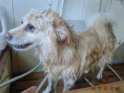 欧尼洗澡照片！