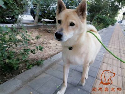 2023.7.17号旗舰店照片！