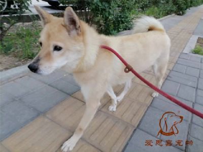 2023.7.18号旗舰店照片！