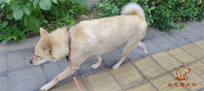 2023.7.19号旗舰店照片！