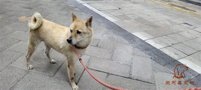 2023.7.20号旗舰店照片！