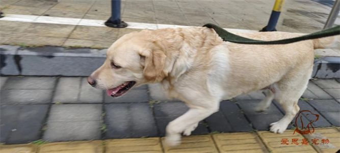 2023.7.21号旗舰店照片！