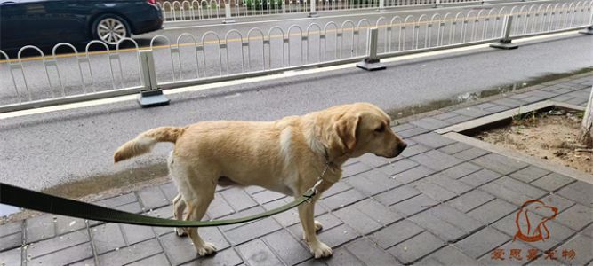 2023.7.22号旗舰店照片！