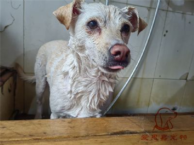 平安臭臭洗澡照片！