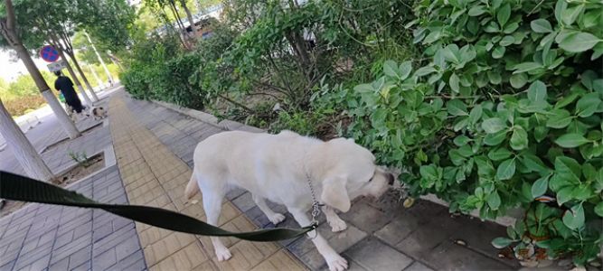 2023.7.23号旗舰店照片！