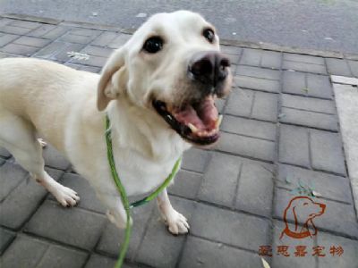 2023.7.25号旗舰店照片！