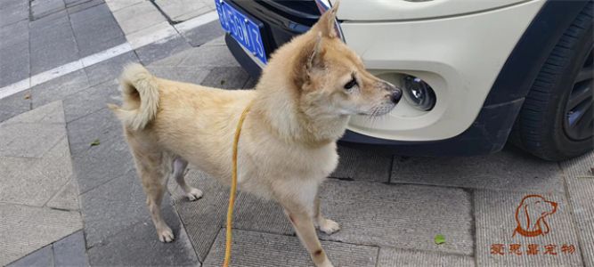 2023.8.5号旗舰店照片！
