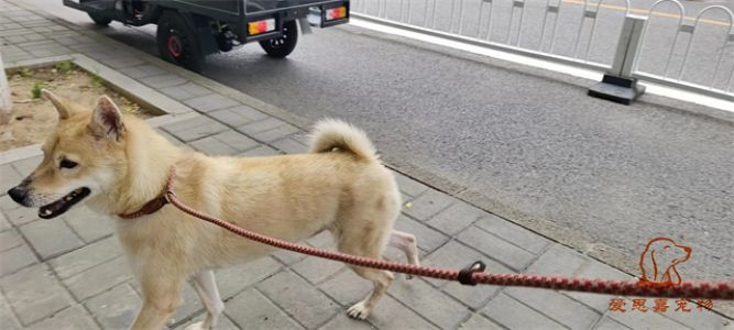 2023.8.7号旗舰店照片！
