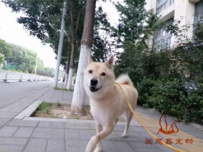 2023.8.8号旗舰店照片！