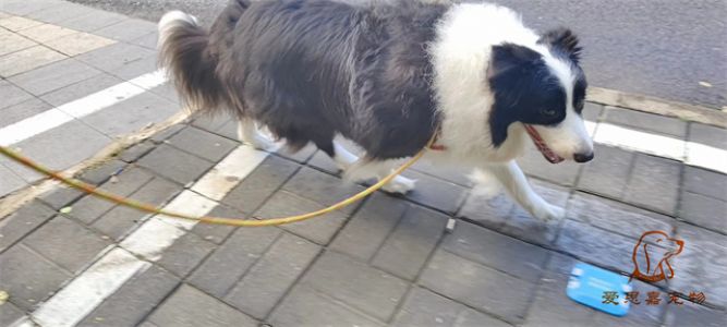 2023.8.12号旗舰店照片！