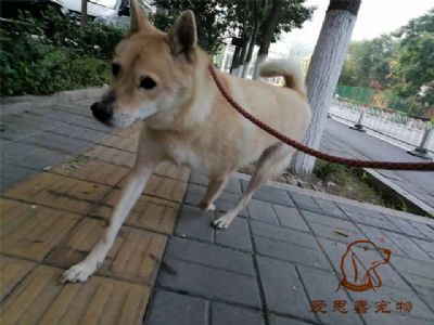 2023.8.15号旗舰店照片！