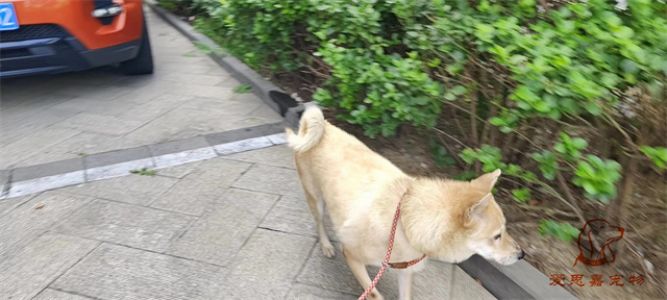 2023.8.16号旗舰店照片！