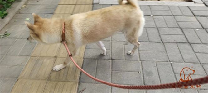 2023.8.20号旗舰店照片！