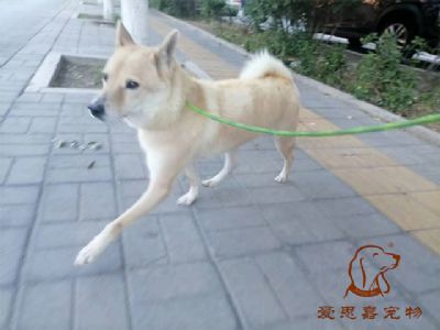 2023.8.22号旗舰店照片！