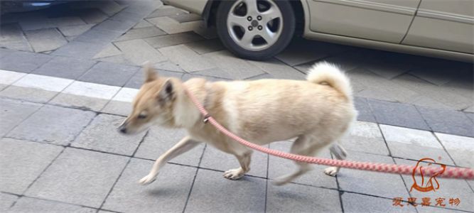 2023.9.1号旗舰店照片！