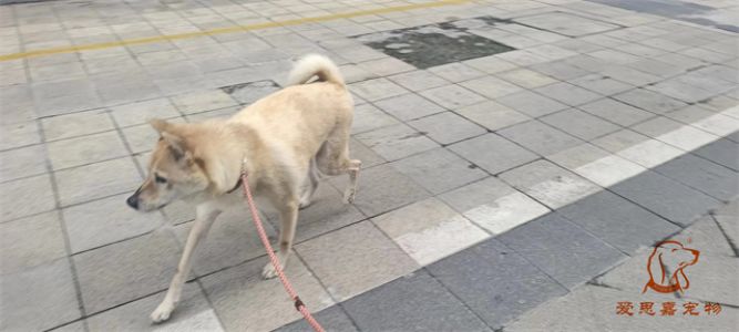 2023.9.4号旗舰店照片！