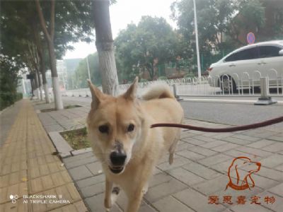 2023.9.5号旗舰店照片！