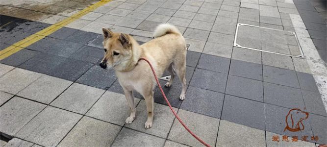 2023.9.6号旗舰店照片！