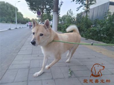 2023.9.12号旗舰店照片！