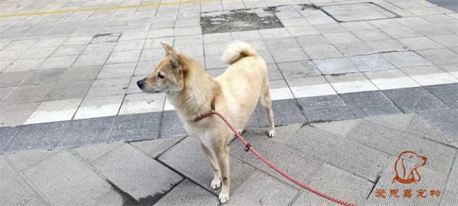 2023.9.14号旗舰店照片！