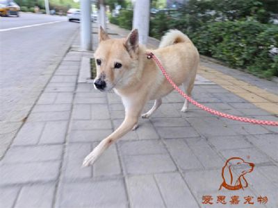 2023.9.18号旗舰店照片！