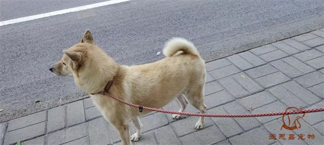 2023.9.22号旗舰店照片！