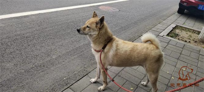 2023.9.24号旗舰店照片！