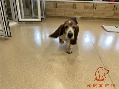 2023.9.25号旗舰店照片！