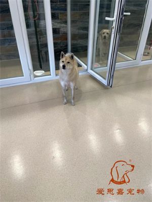 2024.1.2号旗舰店照片！