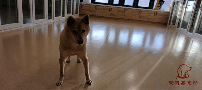2024.1.11号旗舰店照片！