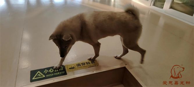2024.1.16号旗舰店照片！