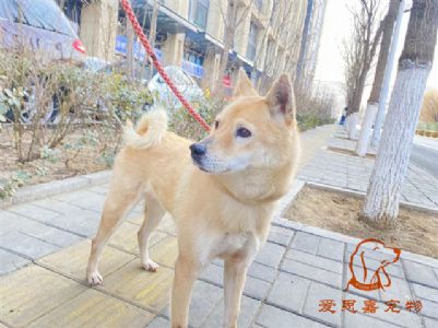 2024.2.5号旗舰店照片！