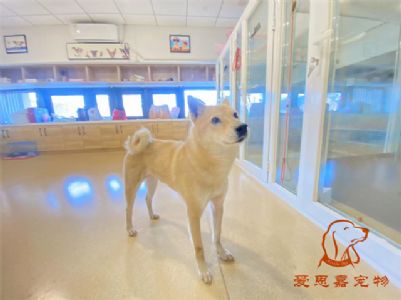 2024.2.8号旗舰店照片！