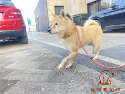 2024.2.9号旗舰店照片！